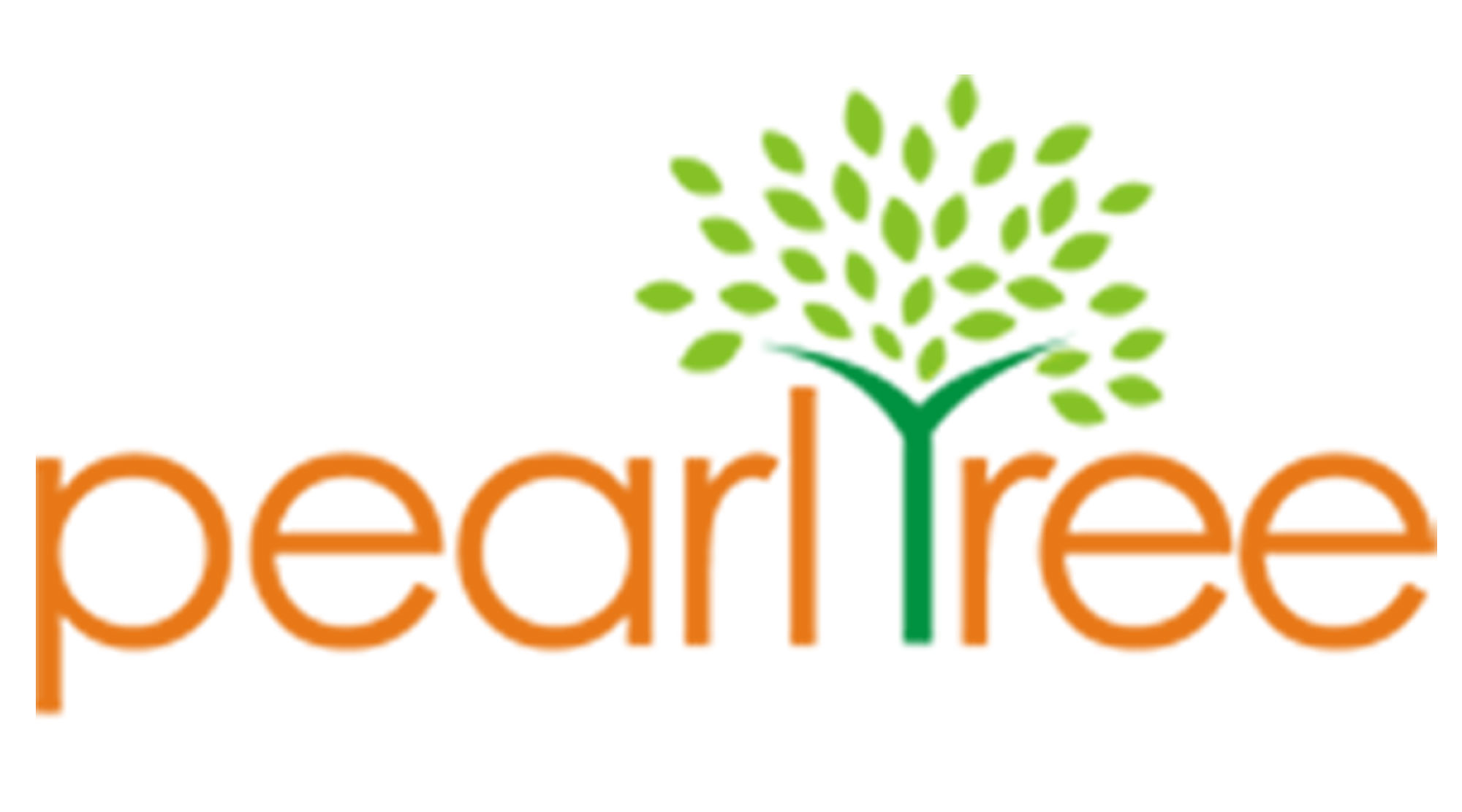 website developer in patna
